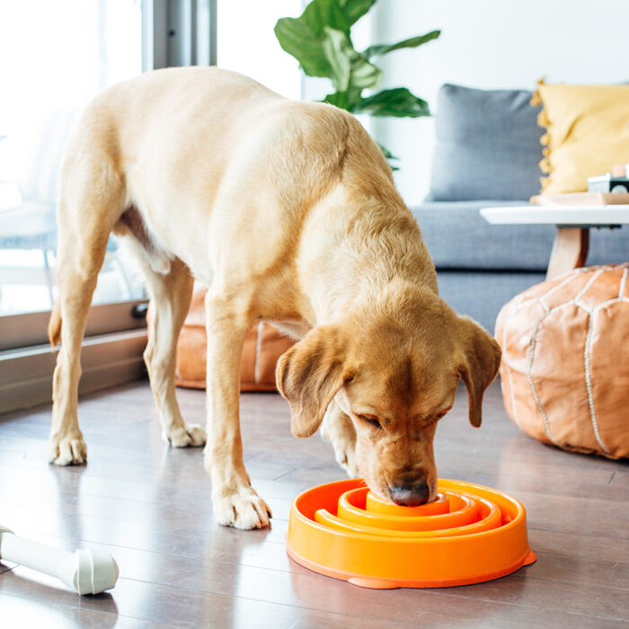 Outward Hound Funfeeder - Image 6