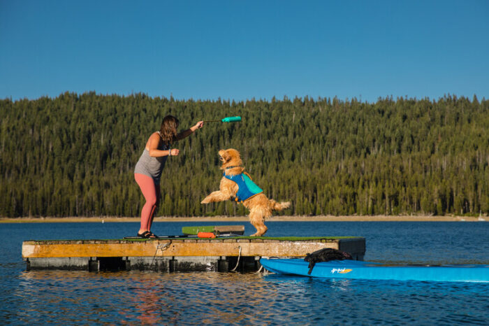 Ruffwear Float Coat - Blue Dusk - Image 3