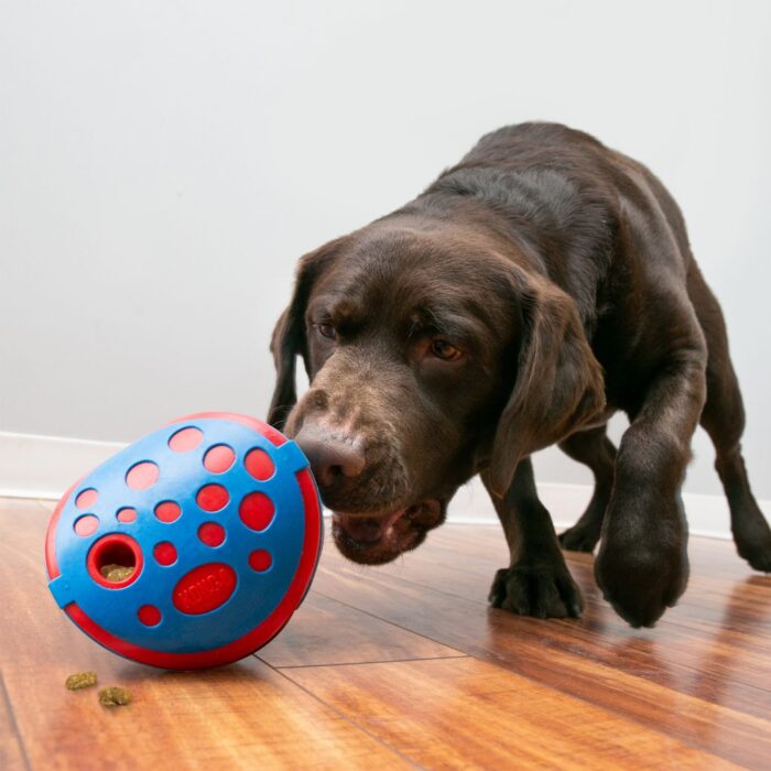 Kong Dog Toy Rewards Wally - Image 3