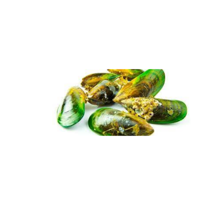 K9 Natural Green Mussels Dog Treats - 50g - Image 3