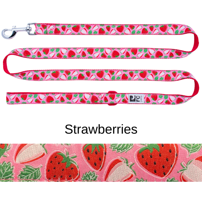 RC Pets Leash – Patterned - Image 15