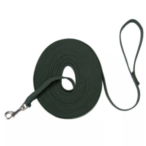Costal Cotton Web Training Leash