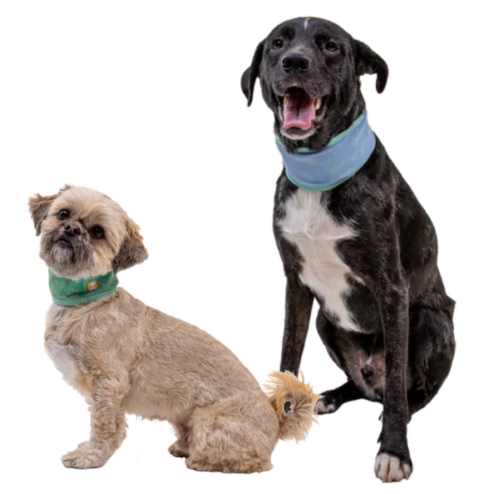 Ruffwear Cooling Neck Gaiter - Image 2