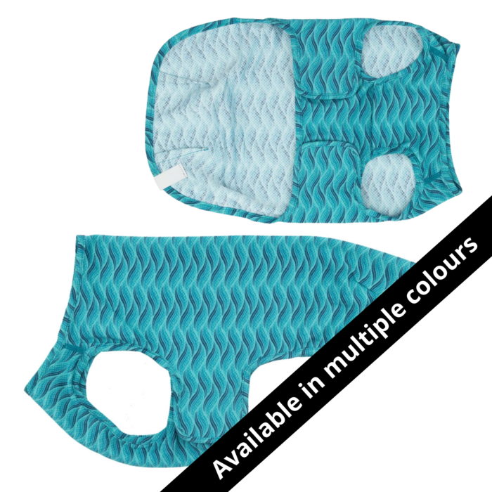 RC Pets Cooling Vest