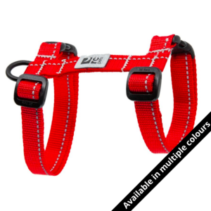 RC Pets Cat Harness Primary