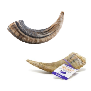 Icelandic Lamb Horn