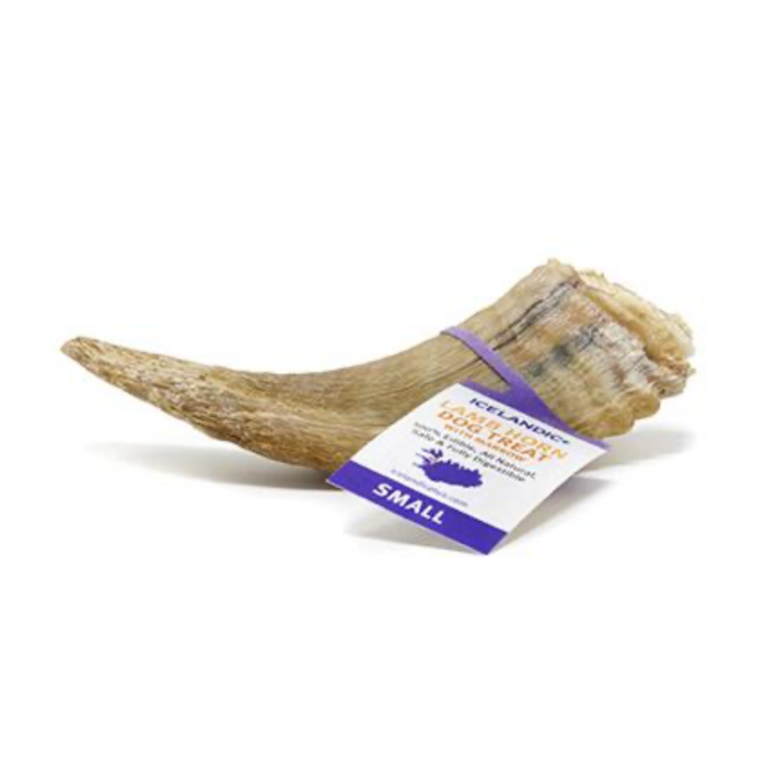 Icelandic Lamb Horn - Image 2