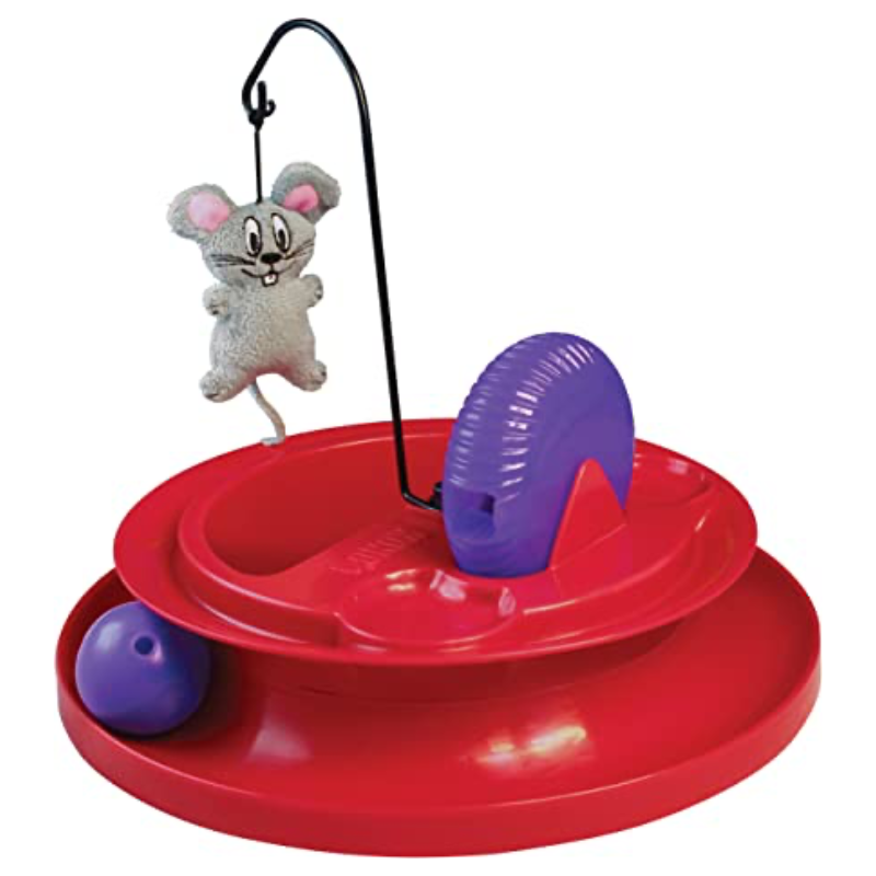 Kong clearance food toy