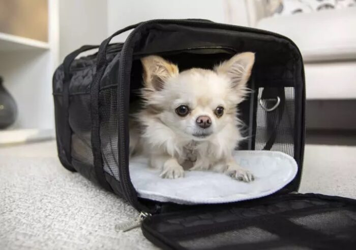 Sherpa Pet Carrier Black - Image 2