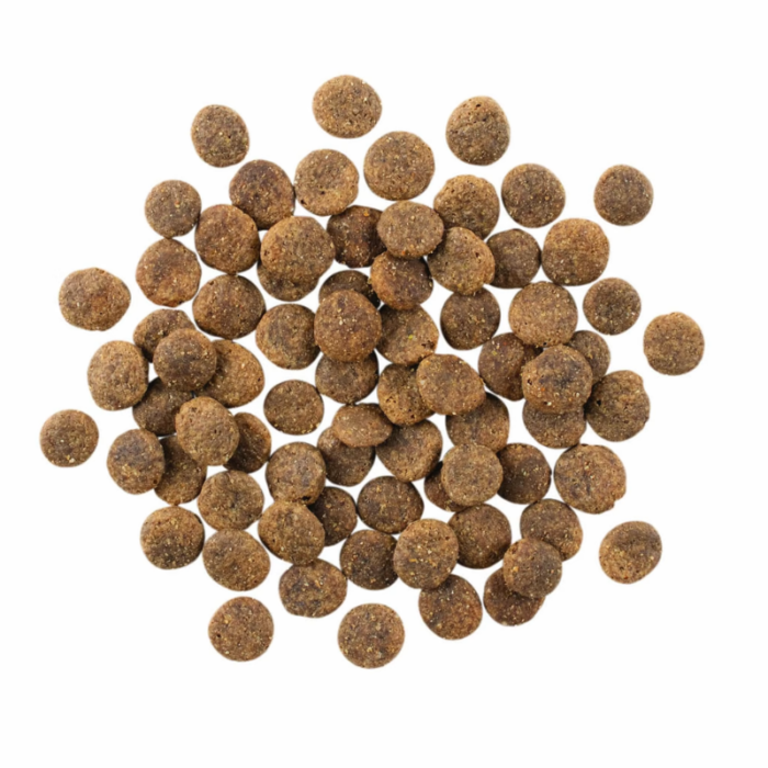 Go! Solutions Dog Food - Sensitivities Limited Ingredient Lamb - Image 2