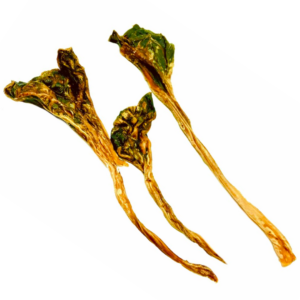 Natures Own Dentaroo Kangaroo Tendons - 150g
