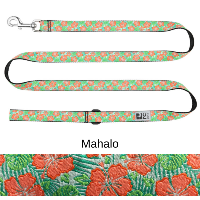 RC Pets Leash – Patterned - Image 19