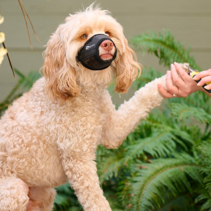 RC Pets Soft Fit Muzzle - Image 3