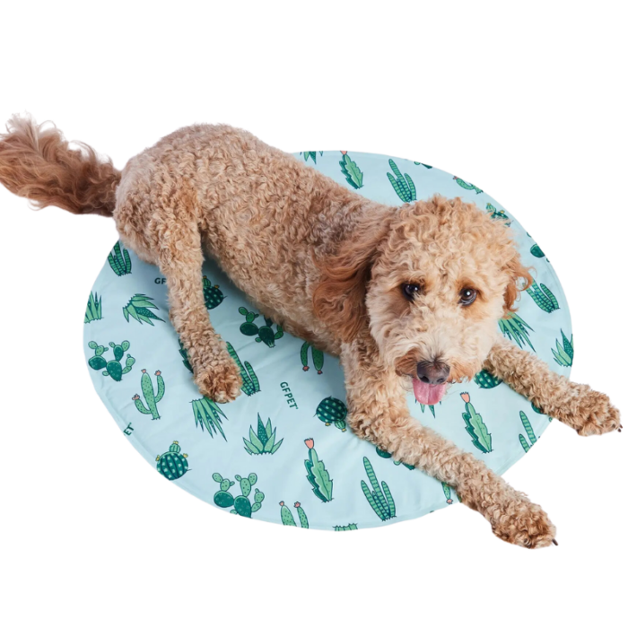 GF Pet Ice Mat - Aqua - Image 3