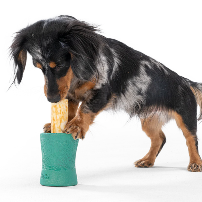 West Paw Dog Toy – Funnl - Image 6