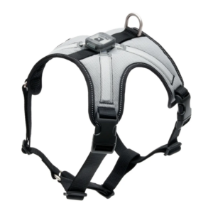 RC Pets Nova LED Light Harness