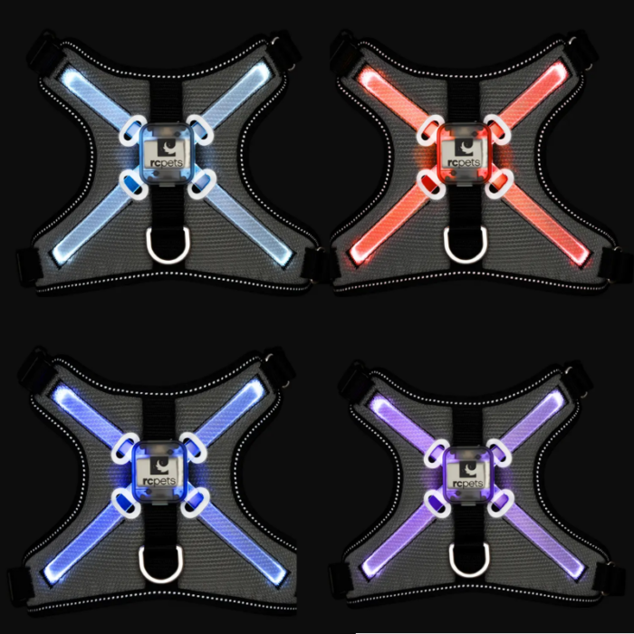 RC Pets Nova LED Light Harness - Image 2