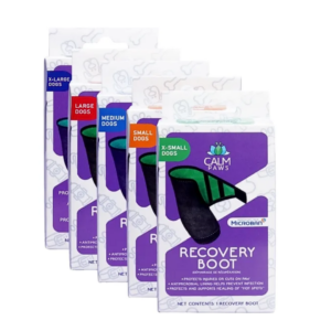 Calm Paws Recovery Boot