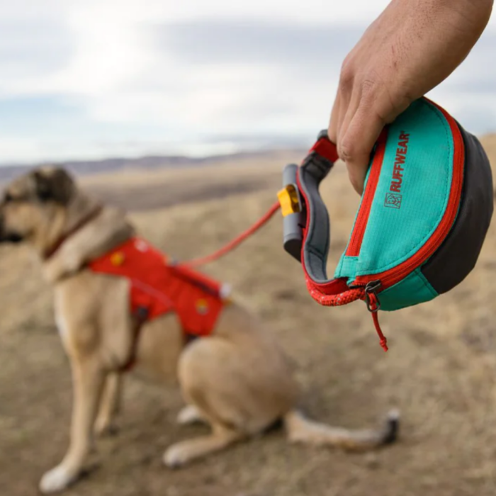 Ruffwear Hitch Hiker Leash Aurora Teal - Image 5