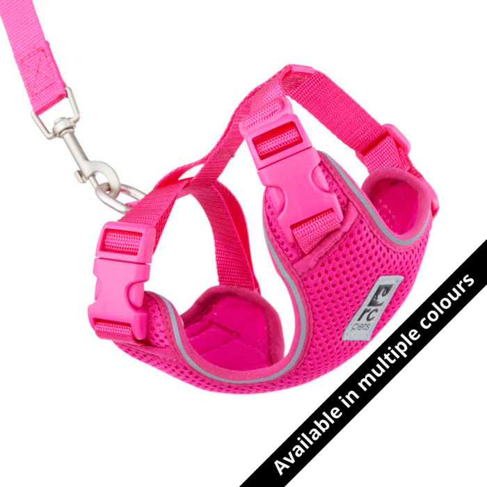 RC Pets Adventure Kitty Harness