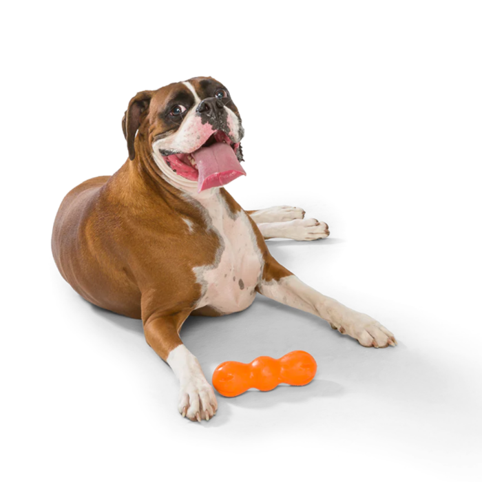 West Paw Dog Toy – Rumpus - Image 4