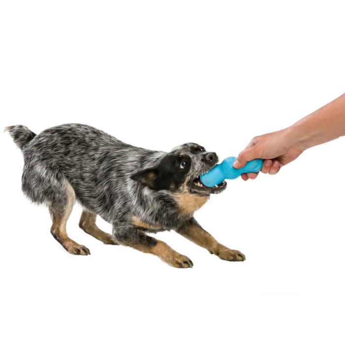 West Paw Dog Toy – Rumpus - Image 3