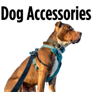 Dog Accessories