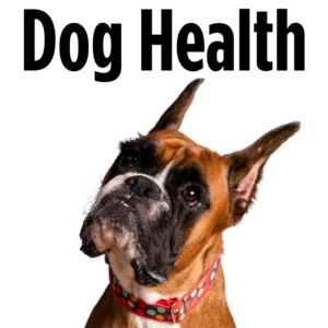 Dog Health