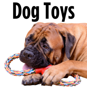 Dog Toys