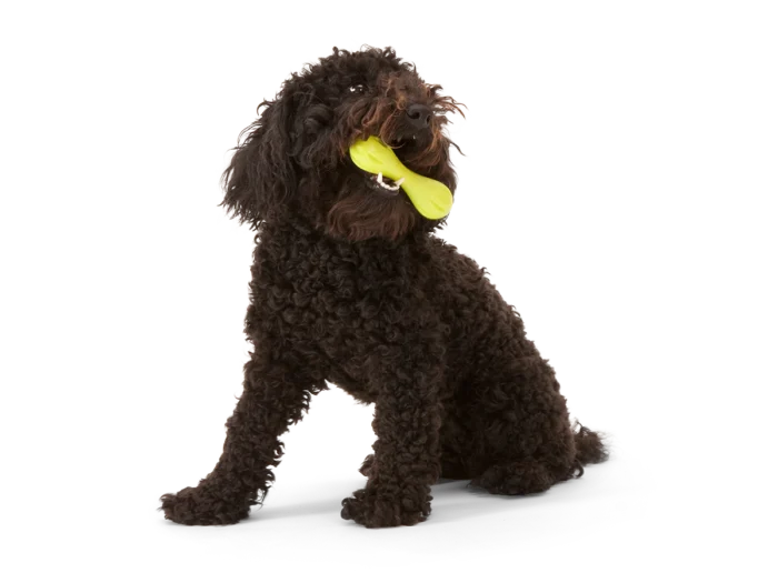 West Paw Dog Toy - Hurley - Image 4
