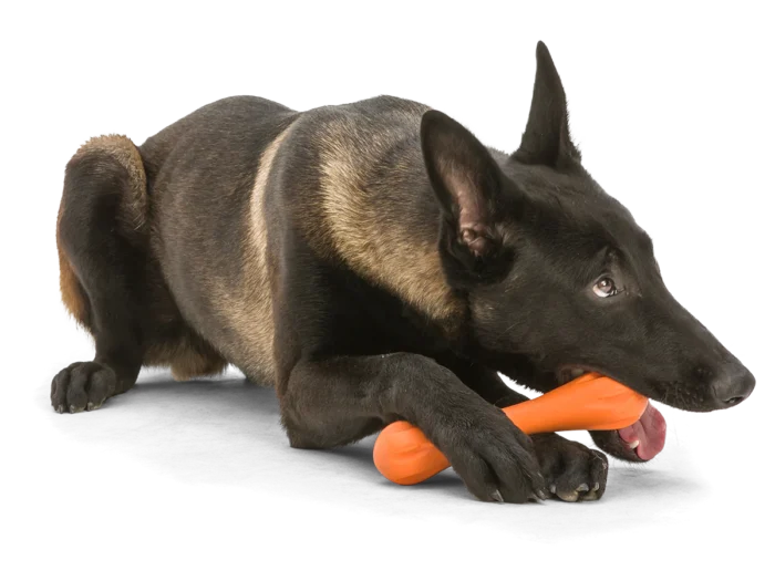 West Paw Dog Toy - Hurley - Image 3