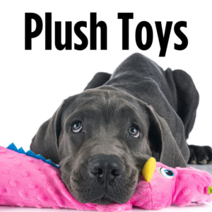 Plush Toys