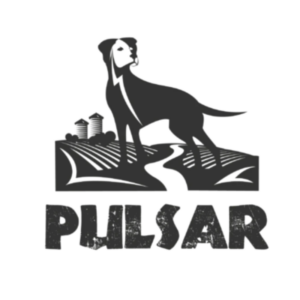 Pulsar