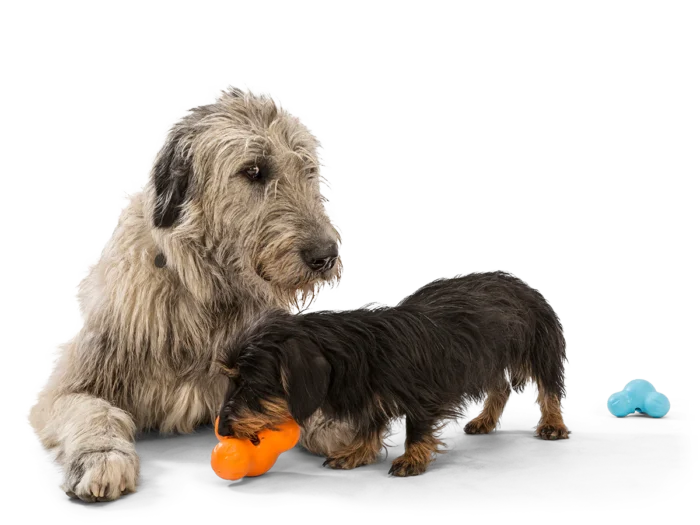 West Paw Dog Toy - Tux - Image 2