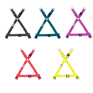 RC Pets Primary Step-in Harness