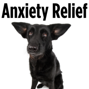 Anxiety Relief