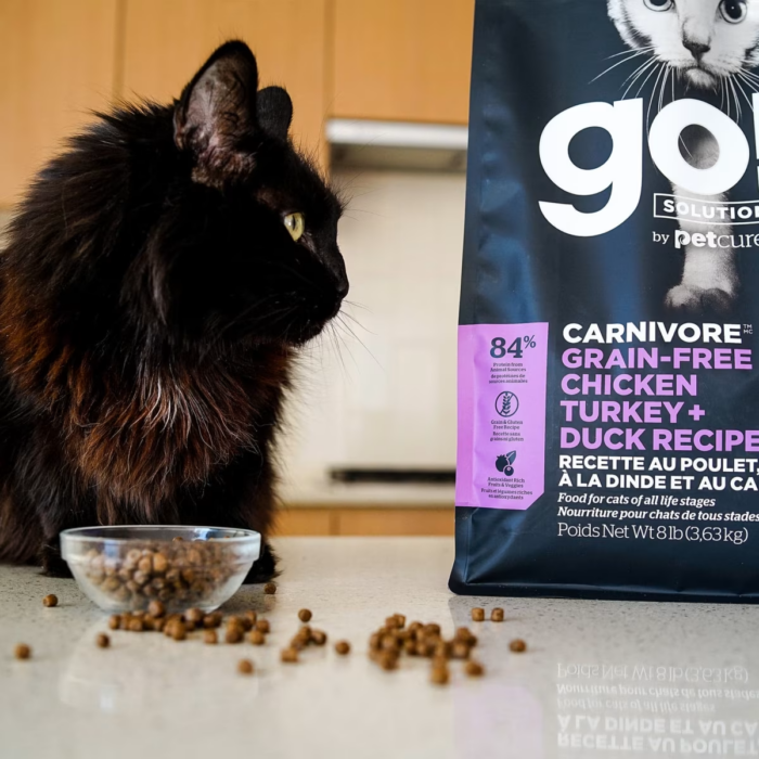 Go! Solutions Cat Food - Carnivore - Chicken, Turkey And Duck - Image 2