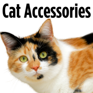 Cat Accessories