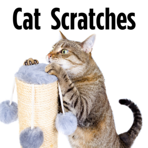 Cat Scratchers