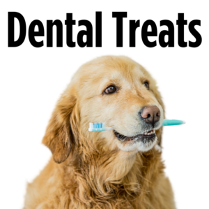 Dental Chews