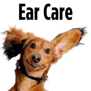 Ear Care