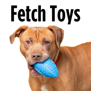 Fetch Toys