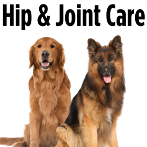 Hip and Joint Aids