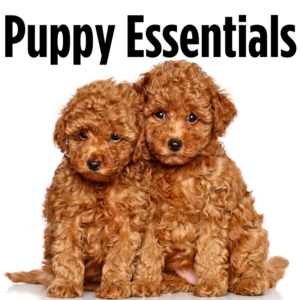 Puppy Essentials