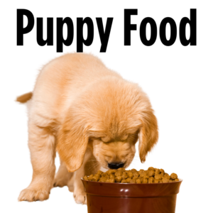 Puppy Food