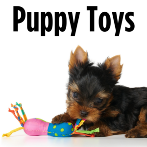 Puppy Toys