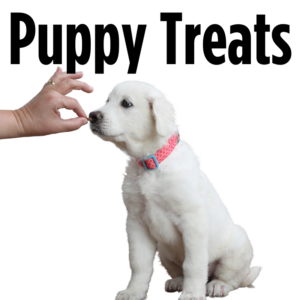 Puppy Treats