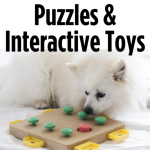 Puzzle and Interactive Toys