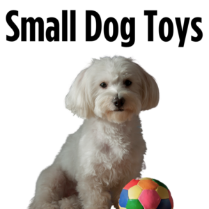 Small Dog Toys