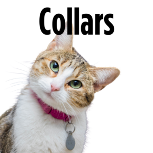 Cat Collars